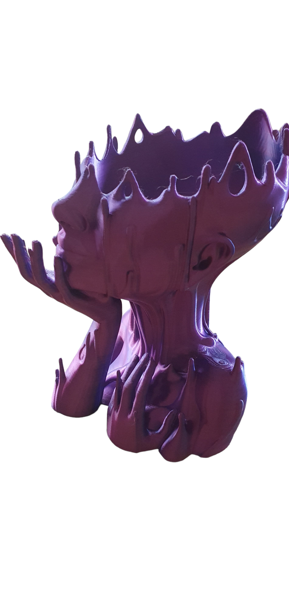 Melted Lady Planter