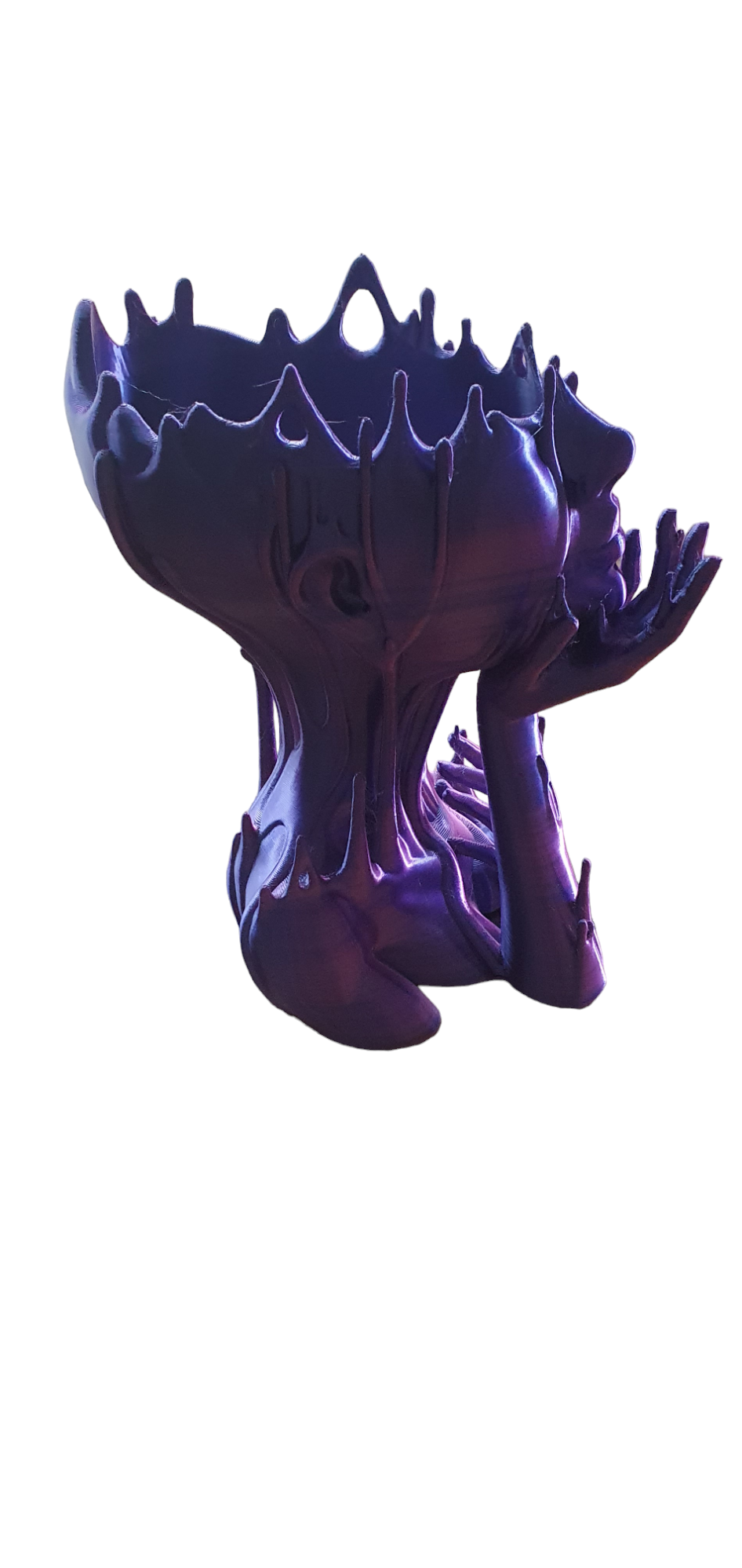 Melted Lady Planter