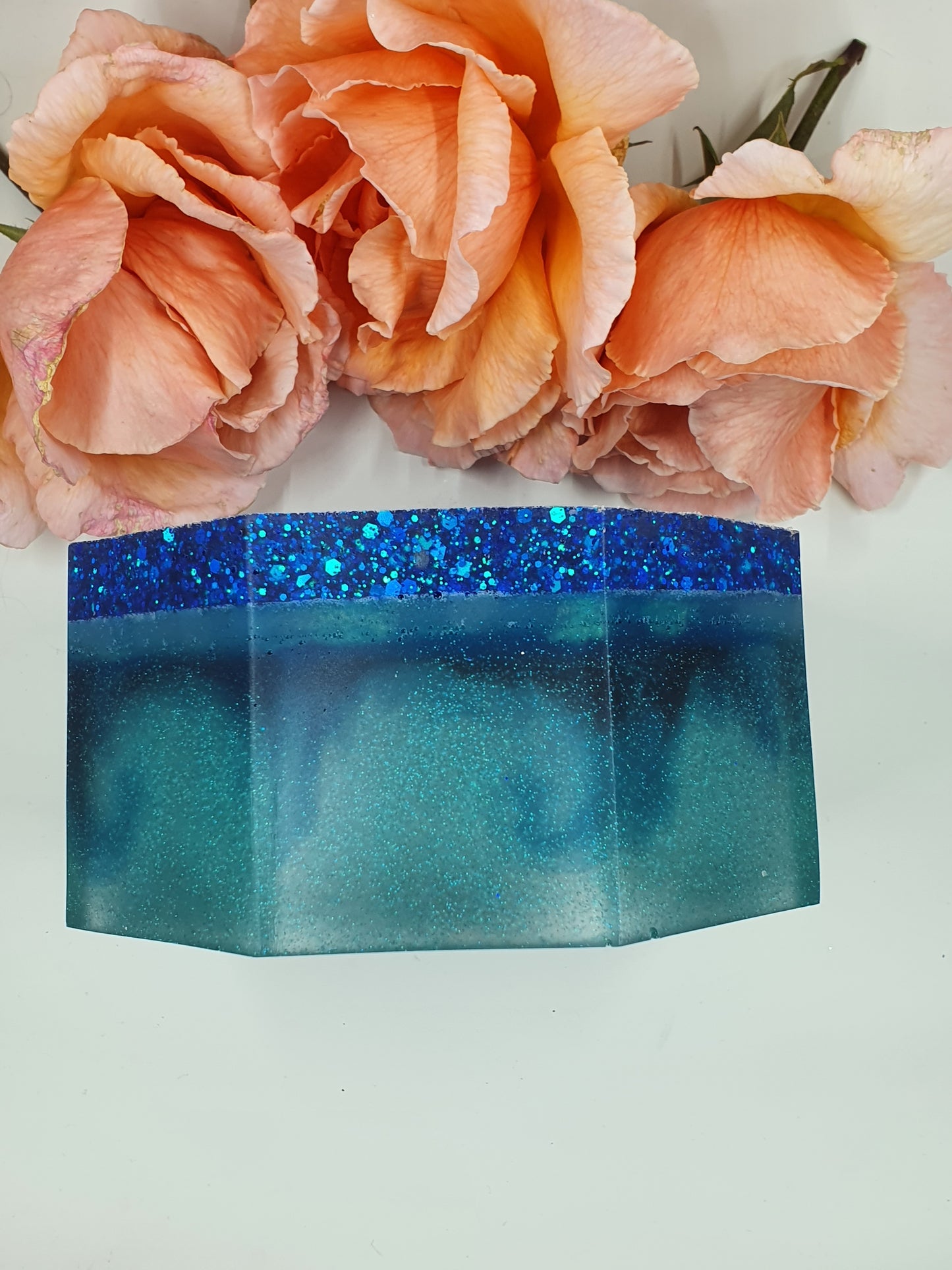 Planter- resin succulent