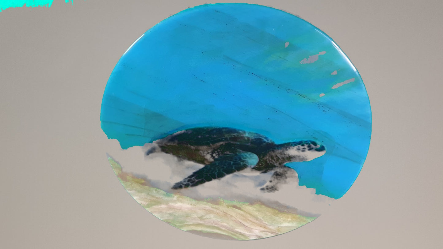 Lazy Susan Large Ocean Round