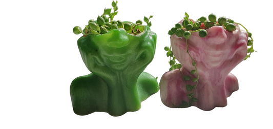 Lady head succulent planter