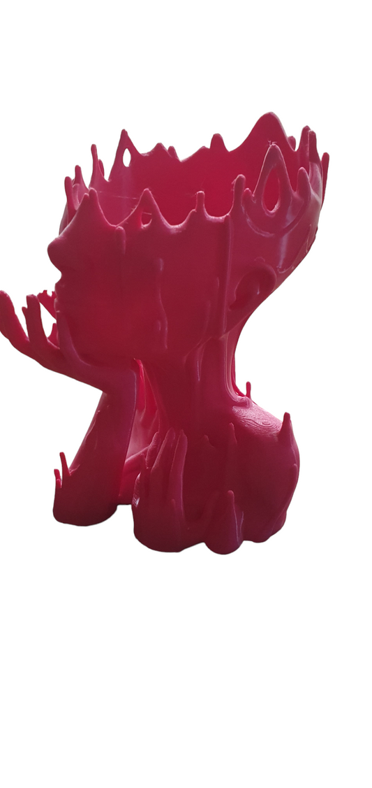Melted Lady Planter