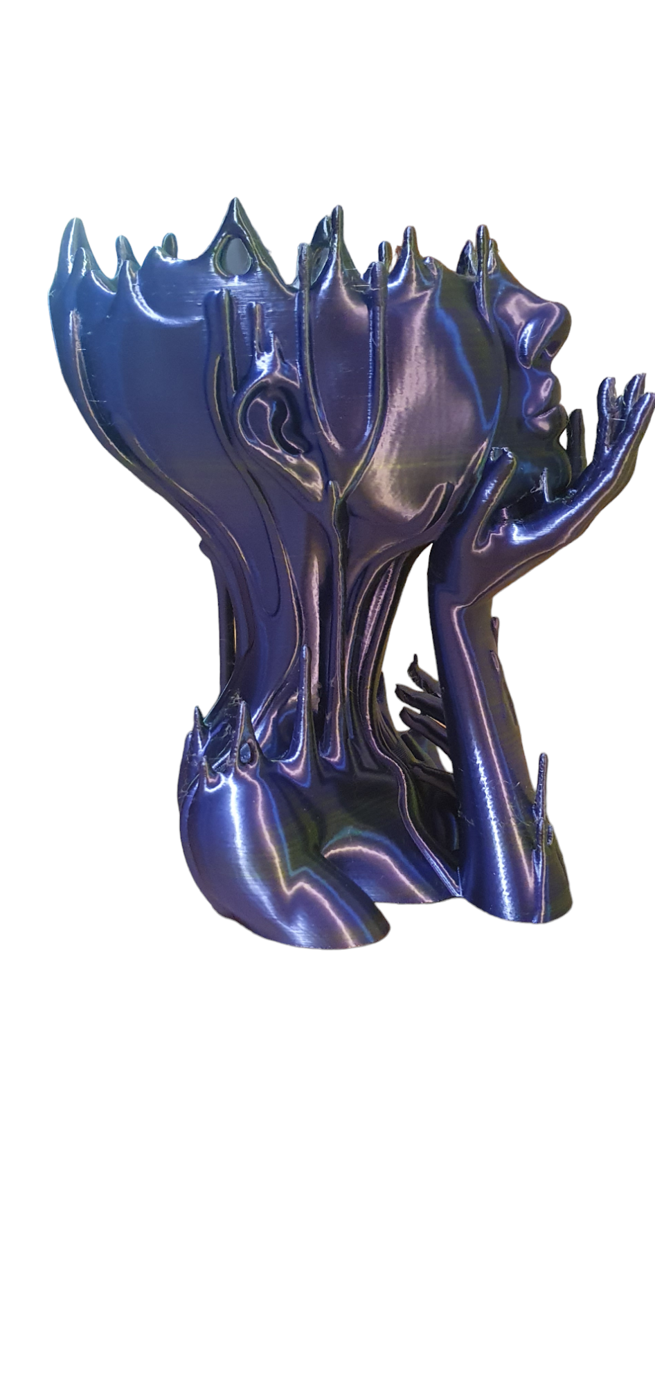 Melted Lady Planter