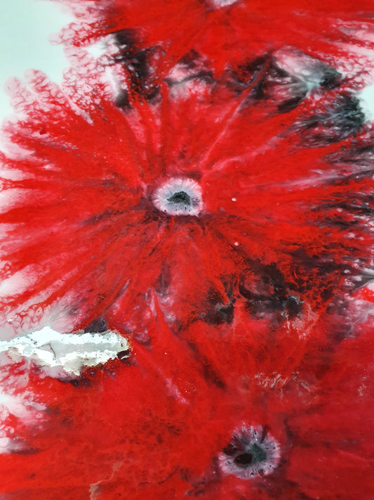 Wall art-Poppies