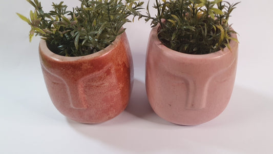 Plant Pots faces